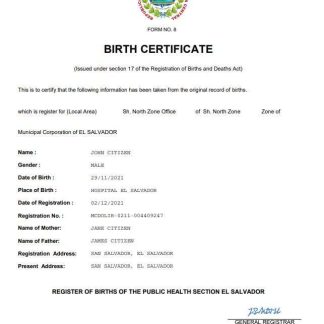 El Salvador vital record birth certificate Word and PDF template download template file