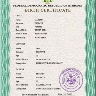 Ethiopia birth certificate PSD template download template file