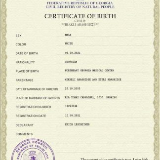 Georgia vital record birth certificate download template file