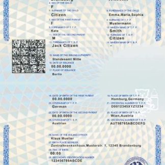 Germany birth certificate template in PSD format download template file