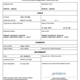 Germany birth certificate Word and PDF template download template file