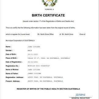 Guatemala birth certificate Word and PDF template download template file