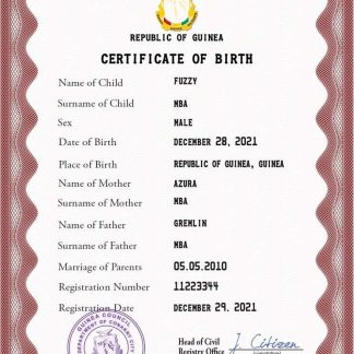 Guinea vital record birth certificate PSD template download template file