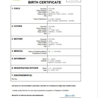Guinea vital record birth certificate Word and PDF template download template file