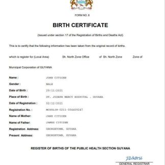 Guyana vital record birth certificate Word and PDF template download template file