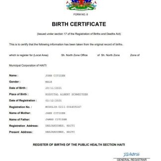 Haiti vital record birth certificate Word and PDF template download template file