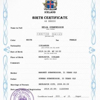 Iceland vital record birth certificate PSD template download template file