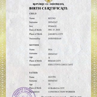 Indonesia vital record birth certificate PSD template download template file