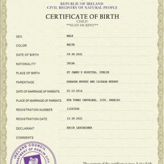 Ireland vital record birth certificate PSD template download template file