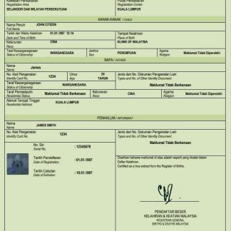 Malaysia birth certificate Word and PDF template download template file