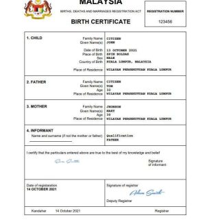 Malaysia vital record birth certificate Word and PDF template, completely editable download template file