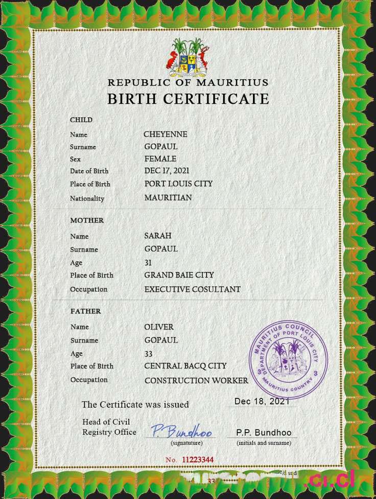 Mauritius vital record birth certificate PSD template download template file