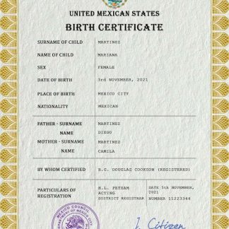 Mexico vital record birth certificate PSD template download template file