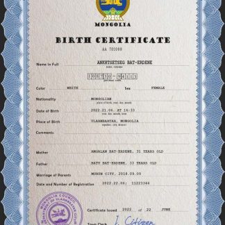 Mongolia birth certificate PSD template download template file