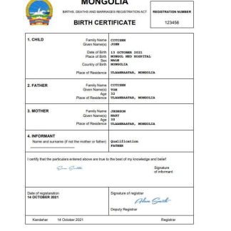 Mongolia birth certificate Word and PDF template download template file
