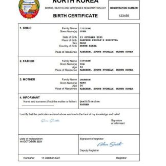 North Korea birth certificate Word and PDF template download template file