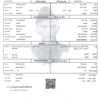 Pakistan Birth Registration certificate download template file