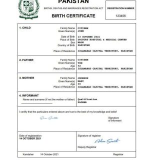 Pakistan vital record birth certificate Word and PDF template, completely editable download template file