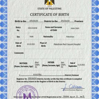 Palestine vital record birth certificate PSD template download template file