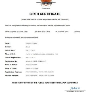Papua New Guinea vital record birth certificate Word and PDF template download template file