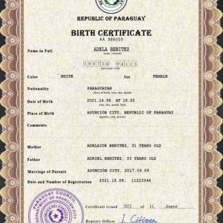 Paraguay vital record birth certificate PSD template download template file