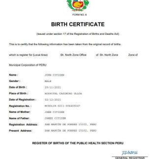 Peru birth certificate Word and PDF template download template file