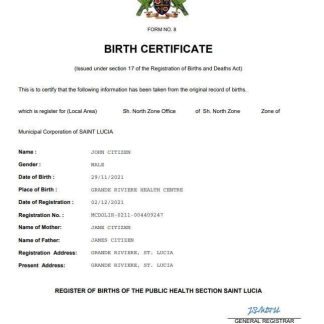 Saint Lucia birth certificate Word and PDF template download template file