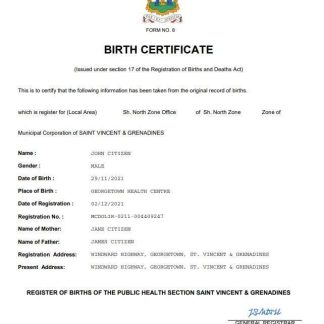 Saint Vincent & Grenadines vital record birth certificate Word and PDF template download template file