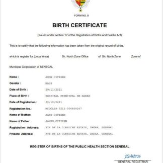 Senegal vital record birth certificate Word and PDF template download template file