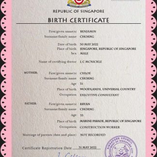 Singapore vital record birth certificate PSD template download template file