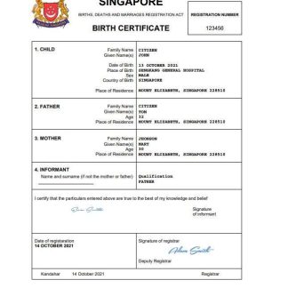Singapore vital record birth certificate Word and PDF template download template file