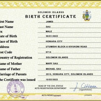 Solomon vital record birth certificate PSD template download template file