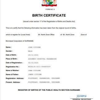 Suriname vital record birth certificate Word and PDF template download template file