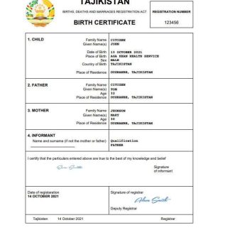 Tajikistan vital record birth certificate Word and PDF template download template file