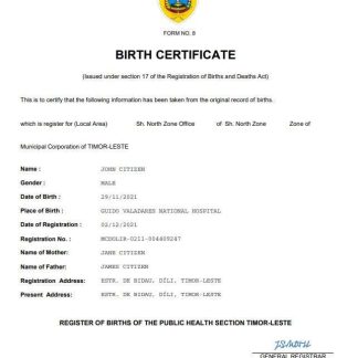 Timor Leste birth certificate Word and PDF template download template file