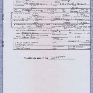 USA Illinois state birth certificate template in PSD format download template file