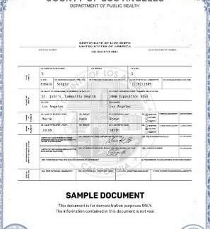 USA Los Angeles certificate of live birth download template file