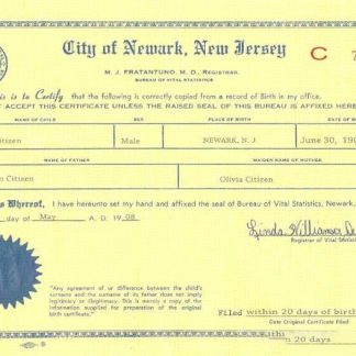 USA New Jersey birth certificate download template file