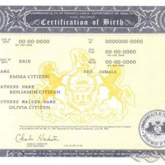 USA Pennsylvania birth cert download template file