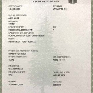 USA Washington state birth certificate template in PSD format download template file