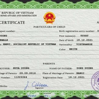 Vietnam birth certificate PSD template download template file