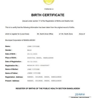 Bangladesh vital record birth certificate Word and PDF template download template file