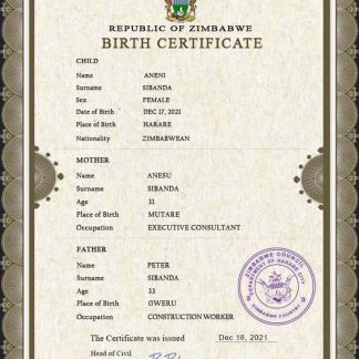 Zimbabwe vital record birth certificate PSD template download template file