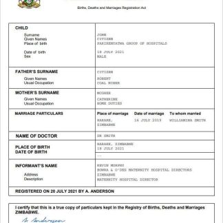 Zimbabwe vital record birth certificate Word and PDF template download template file
