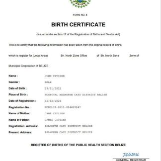 Belize vital record birth certificate Word and PDF template download template file