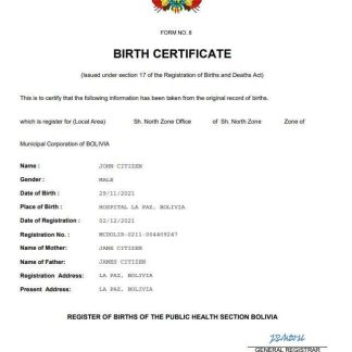 Bolivia vital record birth certificate Word and PDF template download template file