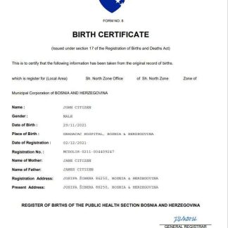 Bosnia and Herzegovina vital record birth certificate Word and PDF template download template file