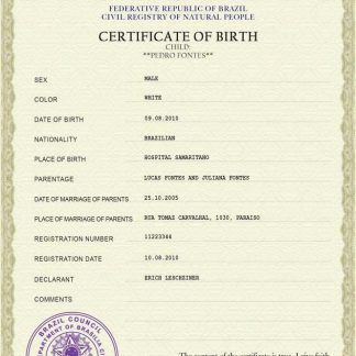 Brazil vital record birth certificate PSD template download template file
