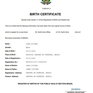 Brazil vital record birth certificate Word and PDF template download template file