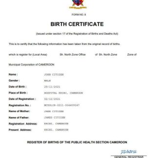 Cameroon vital record birth certificate Word and PDF template download template file